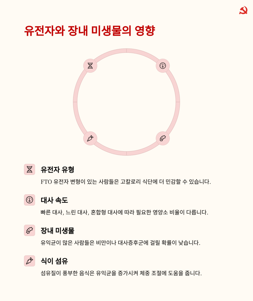 내 몸에 맞는 최적의 다이어트 방법을 알고 싶다면?
