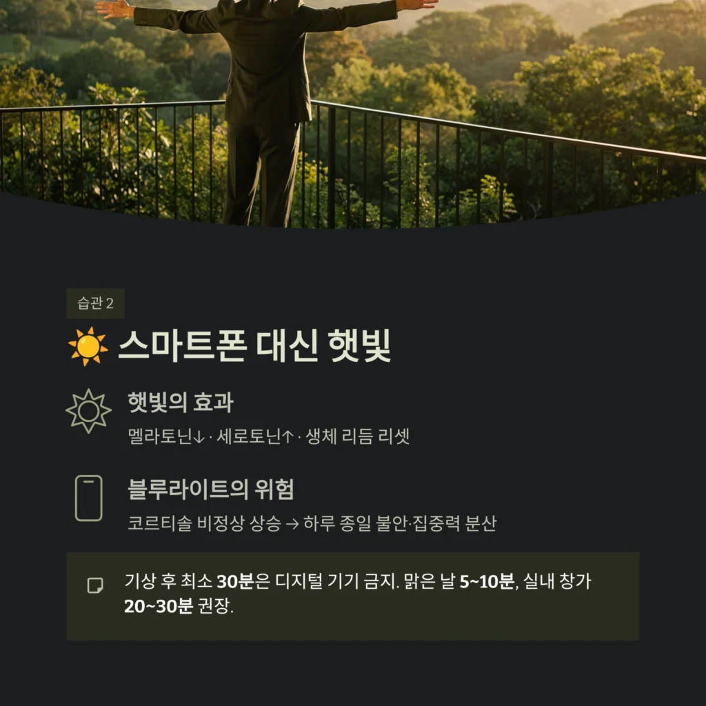 스마트폰 대신 햇빛