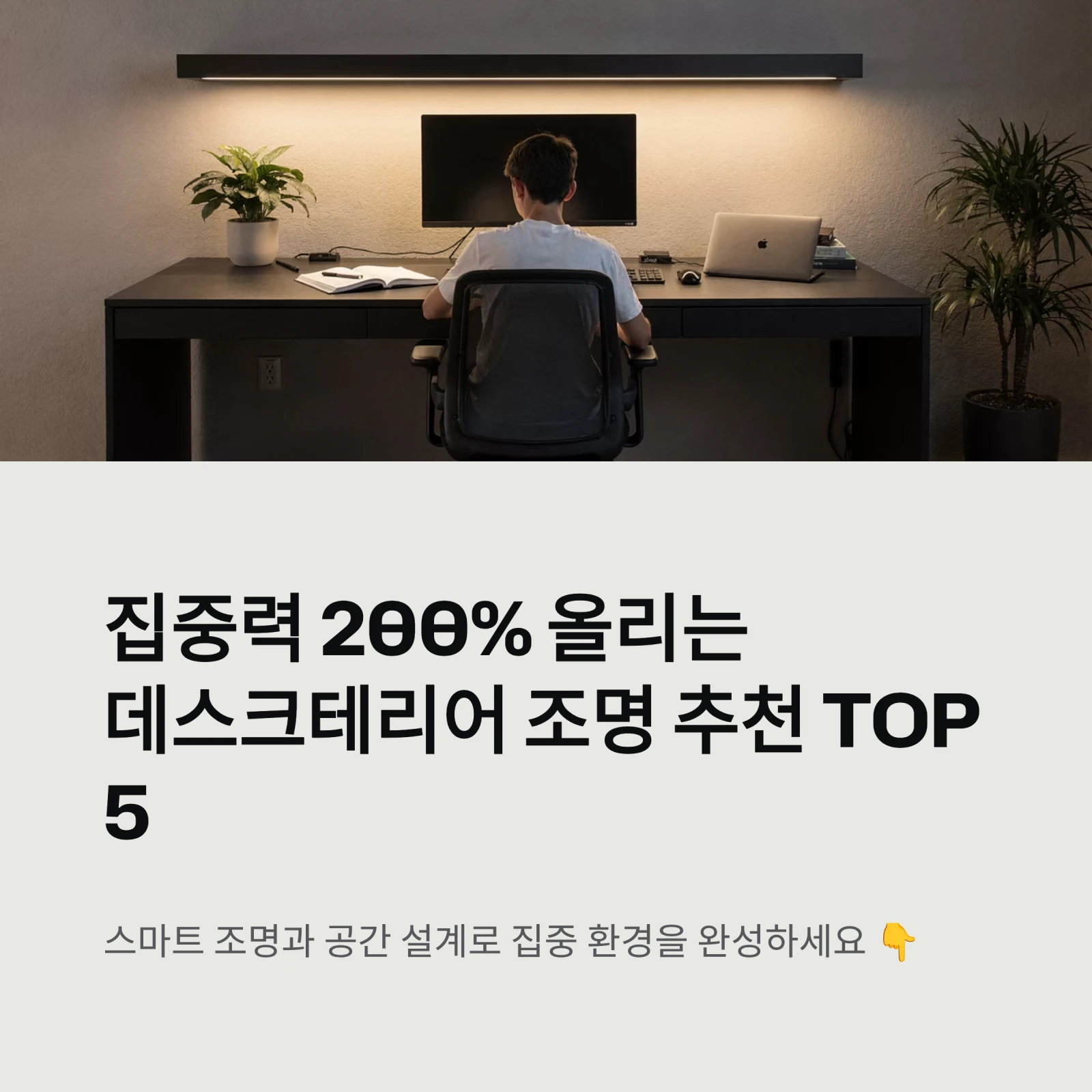 데스크테리어 조명 추천 TOP 5