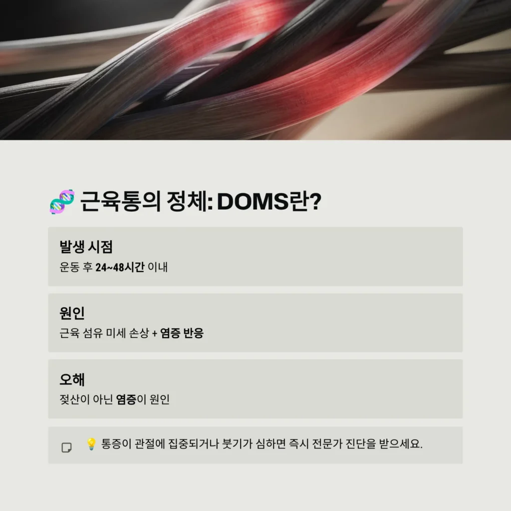근육통의 정체: DOMS란?